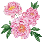TEAApPNSO3FL (178x176, 54Kb)