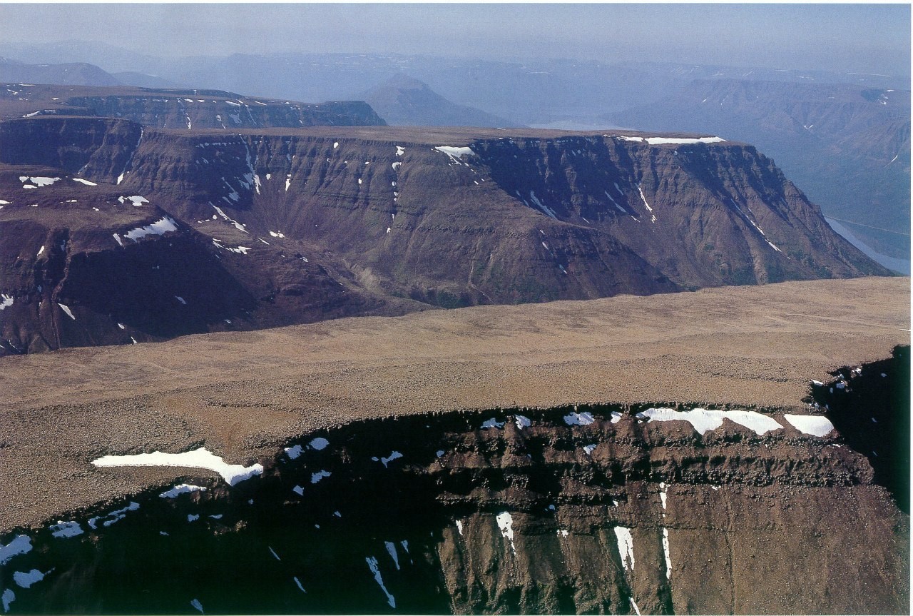 Среднесибирское плоскогорье леса